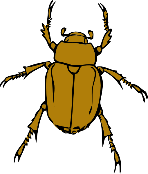 free clip art beetle - photo #3