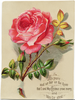 Free Victorian Valentines Day Clipart Image