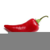 Chillies Clipart Image