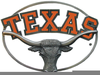 Free Clipart Texas Longhorn Image