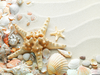 Seashell Clipart Wedding Image