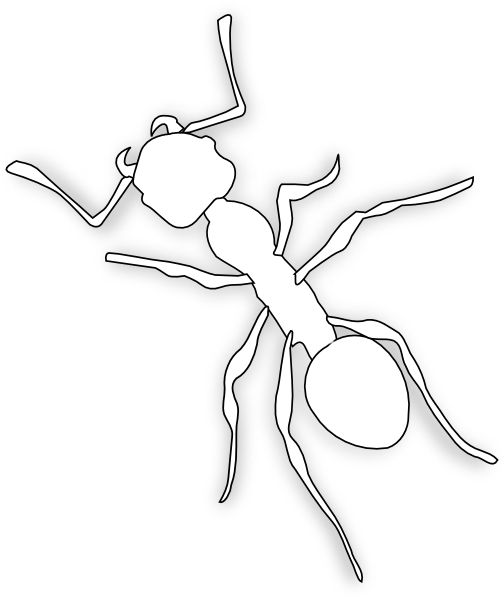 free ant clipart black and white - photo #21