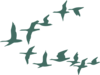 Teal Flock Of Geese Clip Art