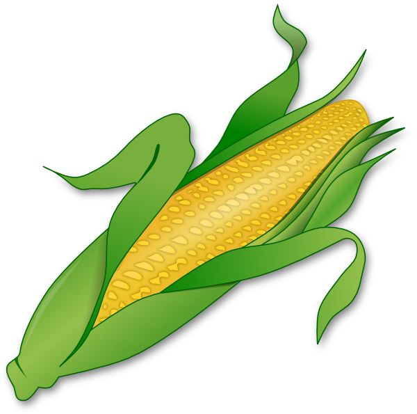 free clipart ear of corn - photo #5