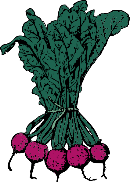 free clipart beets - photo #8