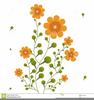 Clipart Flower Stem Image