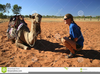 Kneeling Camel Clipart Image