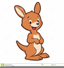 Kangaroo Pouch Clipart Image