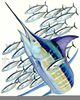 Clipart Of A Marlin Image