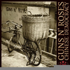 Chinese Democracy Image