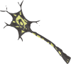 Neuron Clip Art