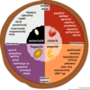 Eysenck Temperament Pie Chart - Czech Clip Art