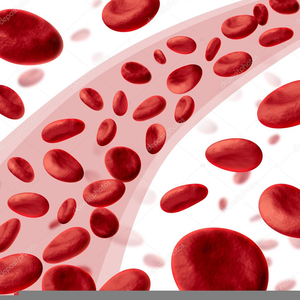 Red Blood Cells Clipart Free Images At Clker Com Vector Clip Art Online Royalty Free Public Domain | view 1,000 white blood cell illustration, images and graphics from +50,000 possibilities. clker