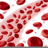 Red Blood Cells Clipart Image