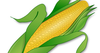 Free Vector Corn Clipart Image