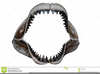 Shark Jaw Clipart Image
