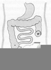 Colostomy Diagram Image