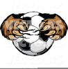 Grinning Tiger Clipart Image