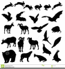 Animal Shadow Clipart Image