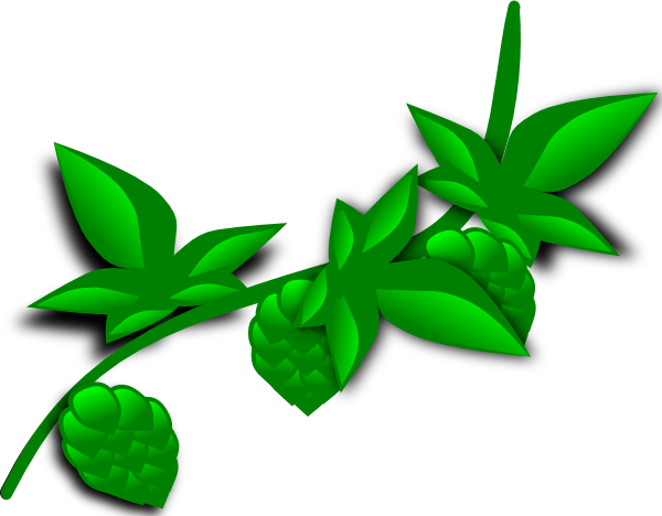 plant clip art. Hops Plant clip art