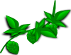 Hops Plant Clip Art