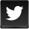 Twitter Bird Icon Image