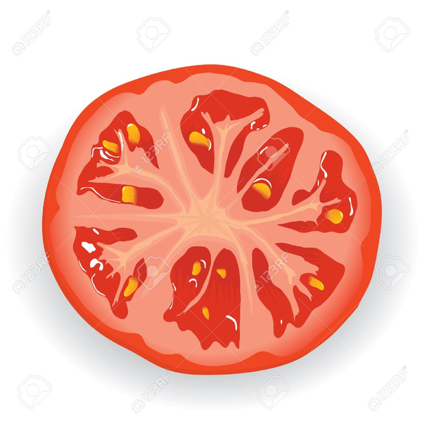 Sliced Tomato Clipart | Free Images at Clker.com - vector clip art