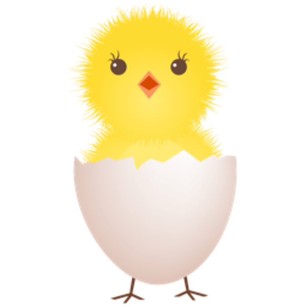 free clipart chicken and eggs - photo #2