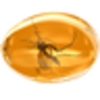 Amber Icon Image