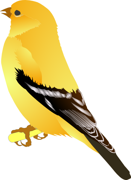 yellow bird clipart - photo #25