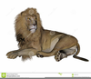 Lion Mane Clipart Image