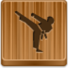 Karate Icon Image