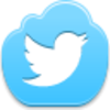 Twitter Bird Icon Image