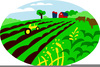 Farm Crops Clipart Image