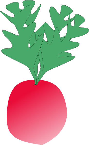 Radish 2 Clip Art at Clker.com - vector clip art online, royalty free