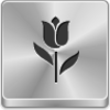 Tulip Icon Image