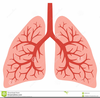 Free Animated Lungs Clipart Image