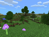 Field Minecraft Seed Image