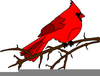 Free Clipart Cardinals Image