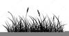 Grasses Clipart Image
