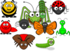 Insect Collection Clip Art