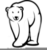 Bear Clipart Free Polar Image