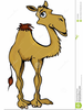 Camel Clipart Free Download Image