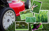 Care Clipart Lawn Image