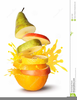 Clipart Of Tropical Fruit Image