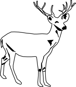 Deer White Clip Art at Clker.com - vector clip art online, royalty free