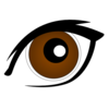 Brown Eye Clip Art