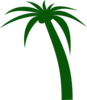 Coconut Tree Clip Art