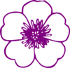 Purple Buttercup Flower Clip Art