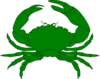 Green Crab Clip Art